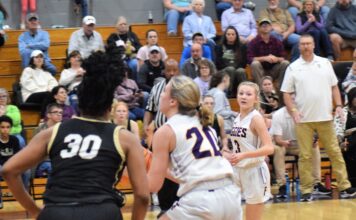 PREP BASKETBALL: Fairview drops area matchups with Scottsboro