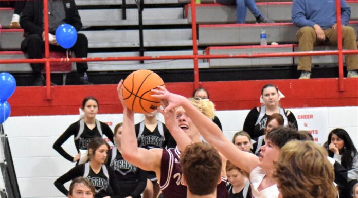 PREP BASKETBALL: Warriors, Lady Warriors earn wins at Vinemont