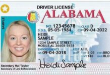 Important documentation needed to enroll in STAR ID program; deadline extended to May 5, 2025