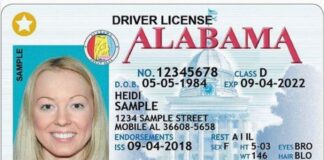 Important documentation needed to enroll in STAR ID program; deadline extended to May 5, 2025