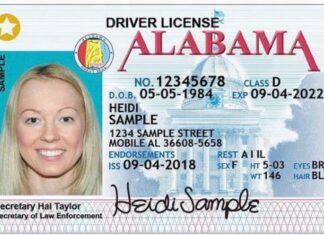 Important documentation needed to enroll in STAR ID program; deadline extended to May 5, 2025