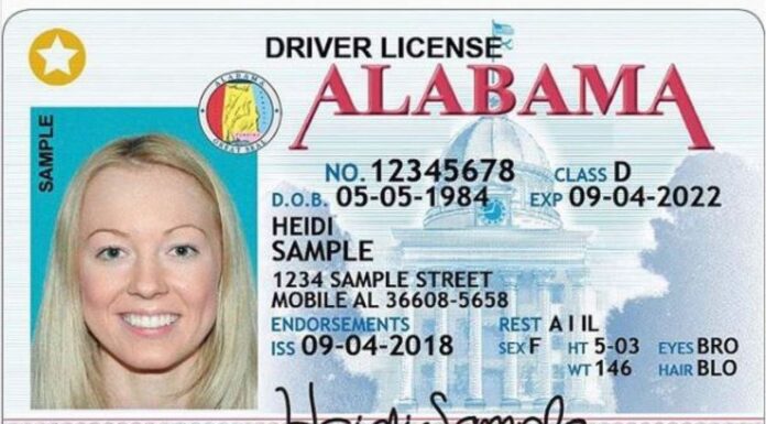 Important documentation needed to enroll in STAR ID program; deadline extended to May 5, 2025