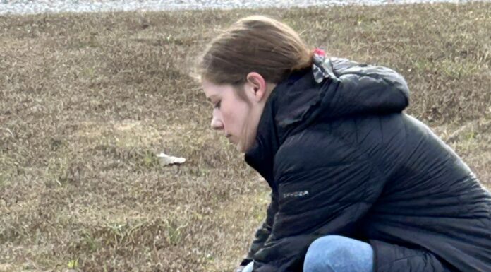 Wreaths Across America: Community comes together to honor veterans