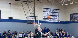 PREP BASKETBALL: Addison tops Falkville in 2OT thriller 64-59, Bulldogs pull away to win 80-58