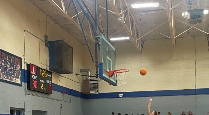 PREP BASKETBALL: Addison Bulldogs, Lady Bulldogs down Winston County