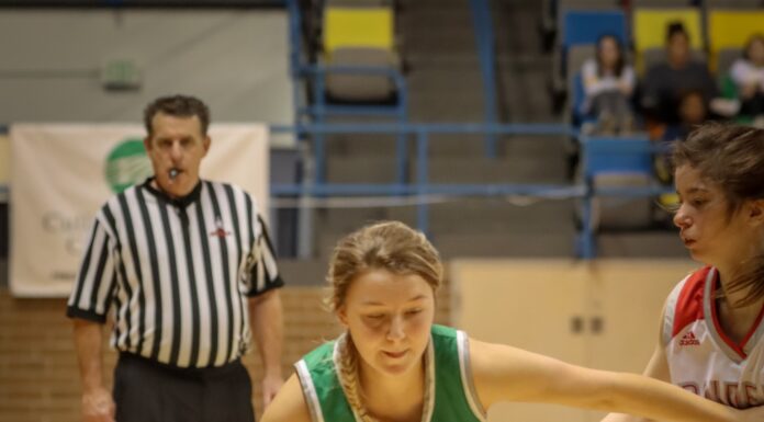 ‘Rise to the challenge’: Holly Pond’s Bai Widner excited for senior season