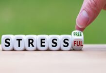 Children and holiday stress