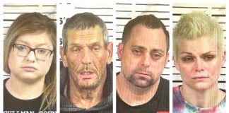 CCSO arrest roundup