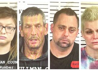 CCSO arrest roundup