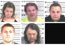 CCSO arrest roundup