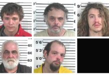 CCSO arrest roundup