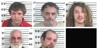 CCSO arrest roundup
