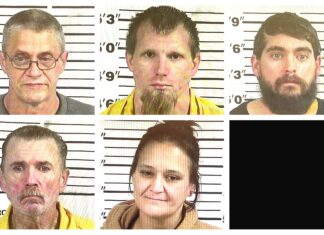 CCSO arrest roundup