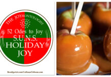 52 ODES TO JOY: S.U.N.S. HOLIDAY JOY