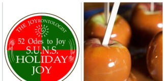 52 ODES TO JOY: S.U.N.S. HOLIDAY JOY
