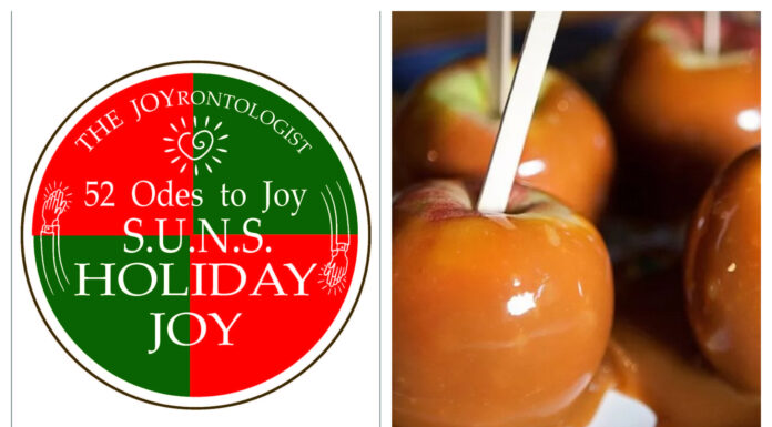 52 ODES TO JOY: S.U.N.S. HOLIDAY JOY
