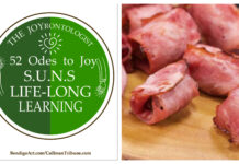 52 ODES TO JOY: S.U.N.S. LIFELONG LEARNING