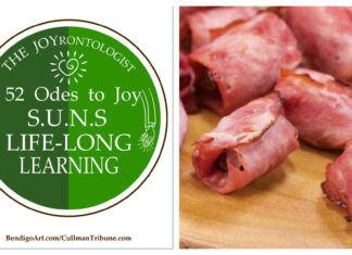 52 ODES TO JOY: S.U.N.S. LIFELONG LEARNING