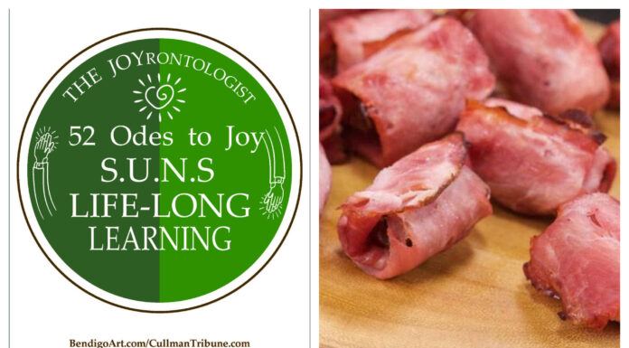 52 ODES TO JOY: S.U.N.S. LIFELONG LEARNING