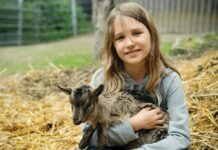 ACES: Pet goats