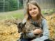 ACES: Pet goats
