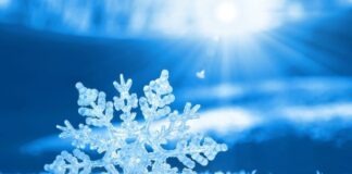 ALEA: Be ready, be safe during wintry weather