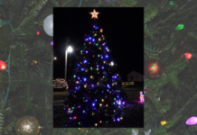 Holly Pond hosting Christmas celebration this Saturday