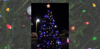 Holly Pond hosting Christmas celebration this Saturday