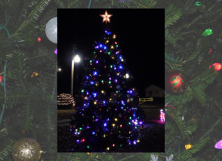 Holly Pond hosting Christmas celebration this Saturday