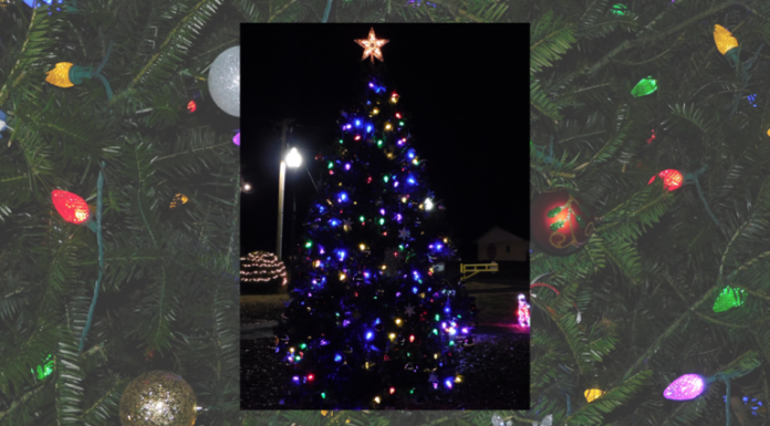 Holly Pond hosting Christmas celebration this Saturday