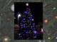 Holly Pond hosting Christmas celebration this Saturday