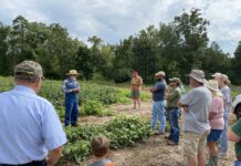 Veteran and Beginning Farmer workshop series kicks off new year
