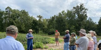 Veteran and Beginning Farmer workshop series kicks off new year