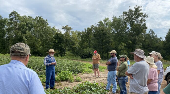 Veteran and Beginning Farmer workshop series kicks off new year