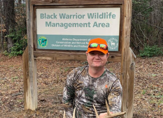 Cook: Deer activity in most of Alabama approaching peak