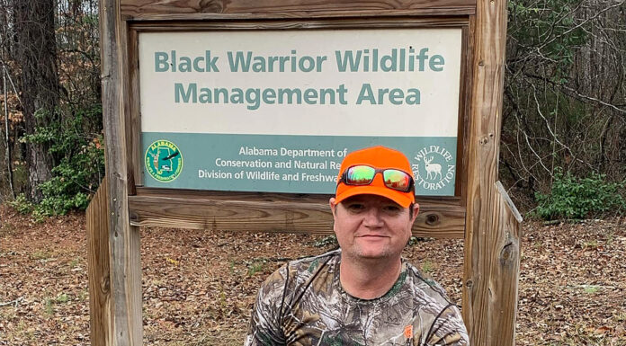 Cook: Deer activity in most of Alabama approaching peak