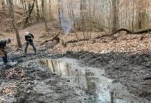 Sprucing up Sulphur Springs