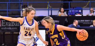 JV COUNTY TOURNAMENT: Fairview edges Cold Springs 41-38 to advance