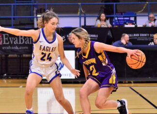 JV COUNTY TOURNAMENT: Fairview edges Cold Springs 41-38 to advance