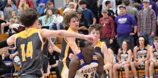 PREP BASKETBALL: Fairview splits senior night matchups against Priceville
