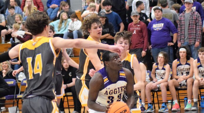 PREP BASKETBALL: Fairview splits senior night matchups against Priceville