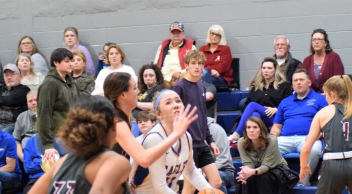 PREP BASKETBALL: Cold Springs collects senior night wins over West Point