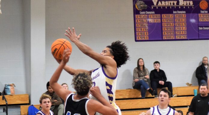 PREP BASKETBALL: Hanceville drops area matchups to Etowah