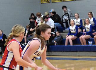 PREP BASKETBALL: Cold Springs Eagles, Lady Eagles earn wins over Vinemont