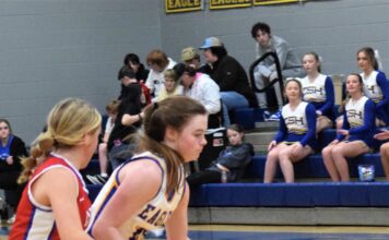 PREP BASKETBALL: Cold Springs Eagles, Lady Eagles earn wins over Vinemont