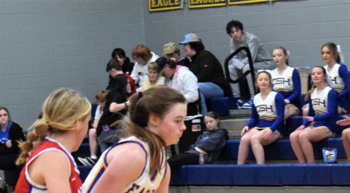 PREP BASKETBALL: Cold Springs Eagles, Lady Eagles earn wins over Vinemont