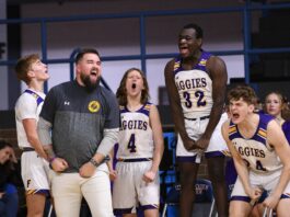 COUNTY TOURNAMENT: Fairview pulls away to top West Point 65-47