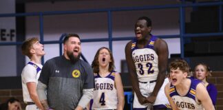 COUNTY TOURNAMENT: Fairview pulls away to top West Point 65-47