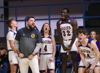 COUNTY TOURNAMENT: Fairview pulls away to top West Point 65-47