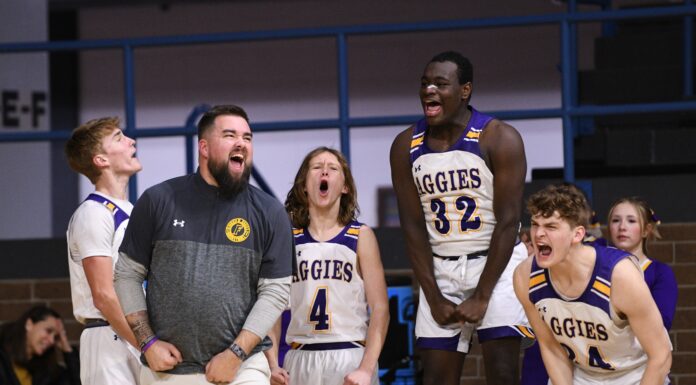 COUNTY TOURNAMENT: Fairview pulls away to top West Point 65-47